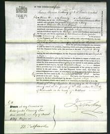 Court of Common Pleas - Elizabeth Mary Friend-Original Ancestry