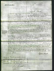 Court of Common Pleas - Bridget Downing Bowles Stancomb-Original Ancestry