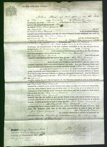 Court of Common Pleas - Alice Boon Ground and Elizabeth Boon Ground-Original Ancestry