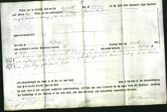 Deed by Married Women - Mary Phillips-Original Ancestry