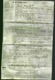 Court of Common Pleas - Martha Ann Flack