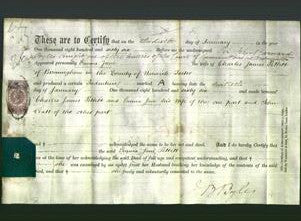 Deed by Married Women - Emma Jane Pettitt-Original Ancestry