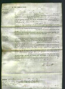 Court of Common Pleas - Sarah Ann Chalking-Original Ancestry