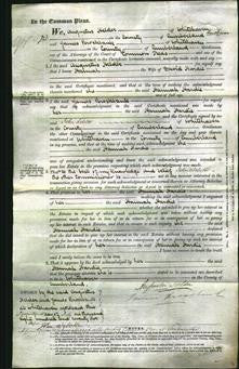 Court of Common Pleas - Hannah Hardie-Original Ancestry