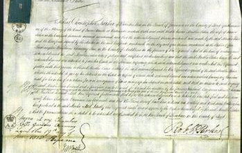 Court of Common Pleas - Sarah Saker-Original Ancestry