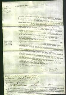 Court of Common Pleas - Sarah Ann Watson-Original Ancestry