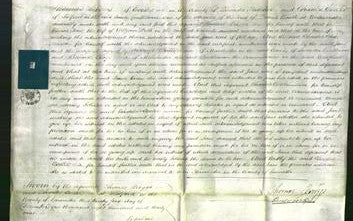 Court of Common Pleas - Jane Fish-Original Ancestry