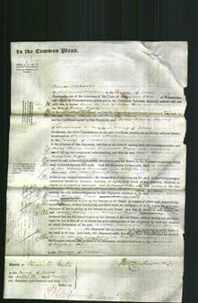 Court of Common Pleas - Ann Alner, Margaret Rogers-Original Ancestry