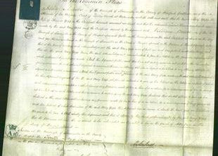 Court of Common Pleas - Mary Yapp-Original Ancestry