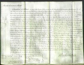 Court of Common Pleas - Anne Evans and Rachel Phillips-Original Ancestry