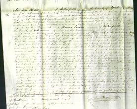 Court of Common Pleas - Sarah Tinker-Original Ancestry