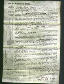 Court of Common Pleas - Right Honorable Mary Elizabeth Lady Vivian-Original Ancestry