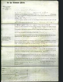 Court of Common Pleas - Hannah Frost-Original Ancestry