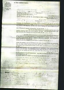 Court of Common Pleas - Jane Amphlett-Original Ancestry