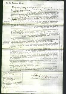 Court of Common Pleas - Eleanor Pearson-Original Ancestry