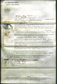 Court of Common Pleas - Emma Lemon Jacquet-Original Ancestry