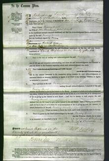 Court of Common Pleas - Mary Ann White-Original Ancestry