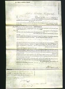 Court of Common Pleas - Ann Jenkinson-Original Ancestry