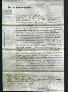 Court of Common Pleas - Elizabeth Hicks-Original Ancestry