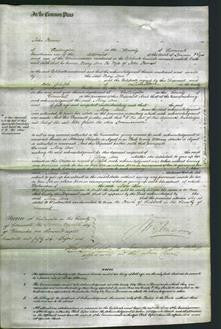 Court of Common Pleas - Mary Ann Forrest-Original Ancestry