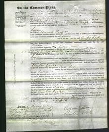 Court of Common Pleas - Susan Heagren-Original Ancestry