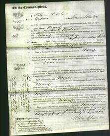 Court of Common Pleas - Mary Malone-Original Ancestry