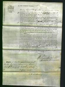 Court of Common Pleas - Rebecca Carter-Original Ancestry