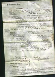 Court of Common Pleas - Susanna Thorp-Original Ancestry