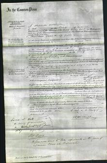 Court of Common Pleas - Sarah Lyne-Original Ancestry