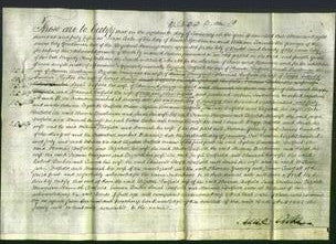 Deed by Married Women - Elizabeth Duffield, Sarah Brookman, Elizabeth Musgrove, Hannah Duffield, Emma Parker, Sarah Duffield and Hannah Duffield-Original Ancestry