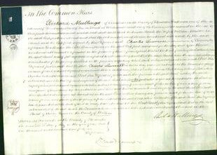 Court of Common Pleas - Sarah Boulton-Original Ancestry