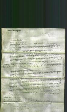 Court of Common Pleas - Eleanor Mansell-Original Ancestry