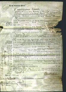 Court of Common Pleas - Jemima Pye-Original Ancestry