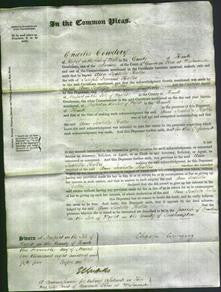 Court of Common Pleas - Ann Isabella Hollis-Original Ancestry