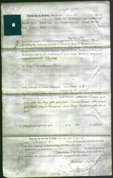 Deed by Married Women - Elizabeth Pearson-Original Ancestry