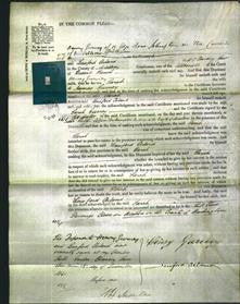 Court of Common Pleas - Sarah Gurney-Original Ancestry