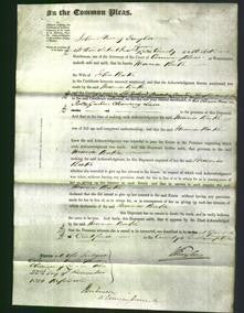 Court of Common Pleas - Maria Blake-Original Ancestry