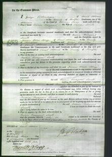 Court of Common Pleas - Maria Margaret Smith-Original Ancestry