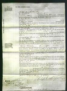 Court of Common Pleas - Sarah Glasse-Original Ancestry