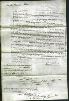 Court of Common Pleas - Elizabeth Jane Smith-Original Ancestry