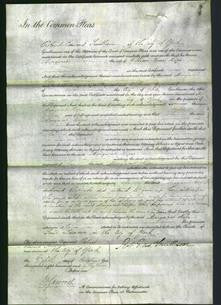 Court of Common Pleas - Margaret Hope-Original Ancestry