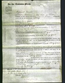 Court of Common Pleas - Mary Grave-Original Ancestry