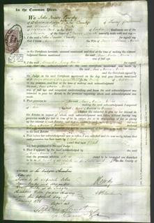 Court of Common Pleas - Anne Maria Morris-Original Ancestry