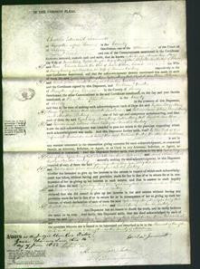 Court of Common Pleas - Lydia Lacy, Mary King, Lydia Mary Hull, Elizabeth June Pierce, Rebecca Sarah Collins, Sarah Bailey and Martha Cucksey-Original Ancestry