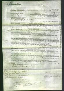 Court of Common Pleas - Jane Sallis-Original Ancestry