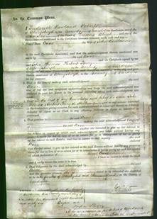 Court of Common Pleas - Ann Rowlands-Original Ancestry