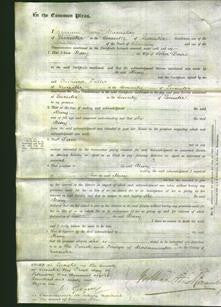 Court of Common Pleas - Mary Davis-Original Ancestry