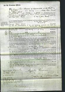 Court of Common Pleas - Jane Reason-Original Ancestry
