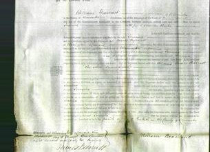 Court of Common Pleas - Jemima Clarke-Original Ancestry