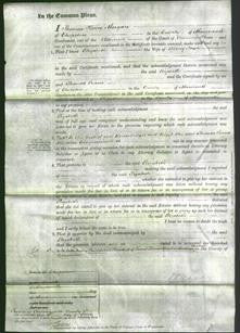 Court of Common Pleas - Elizabeth Page-Original Ancestry